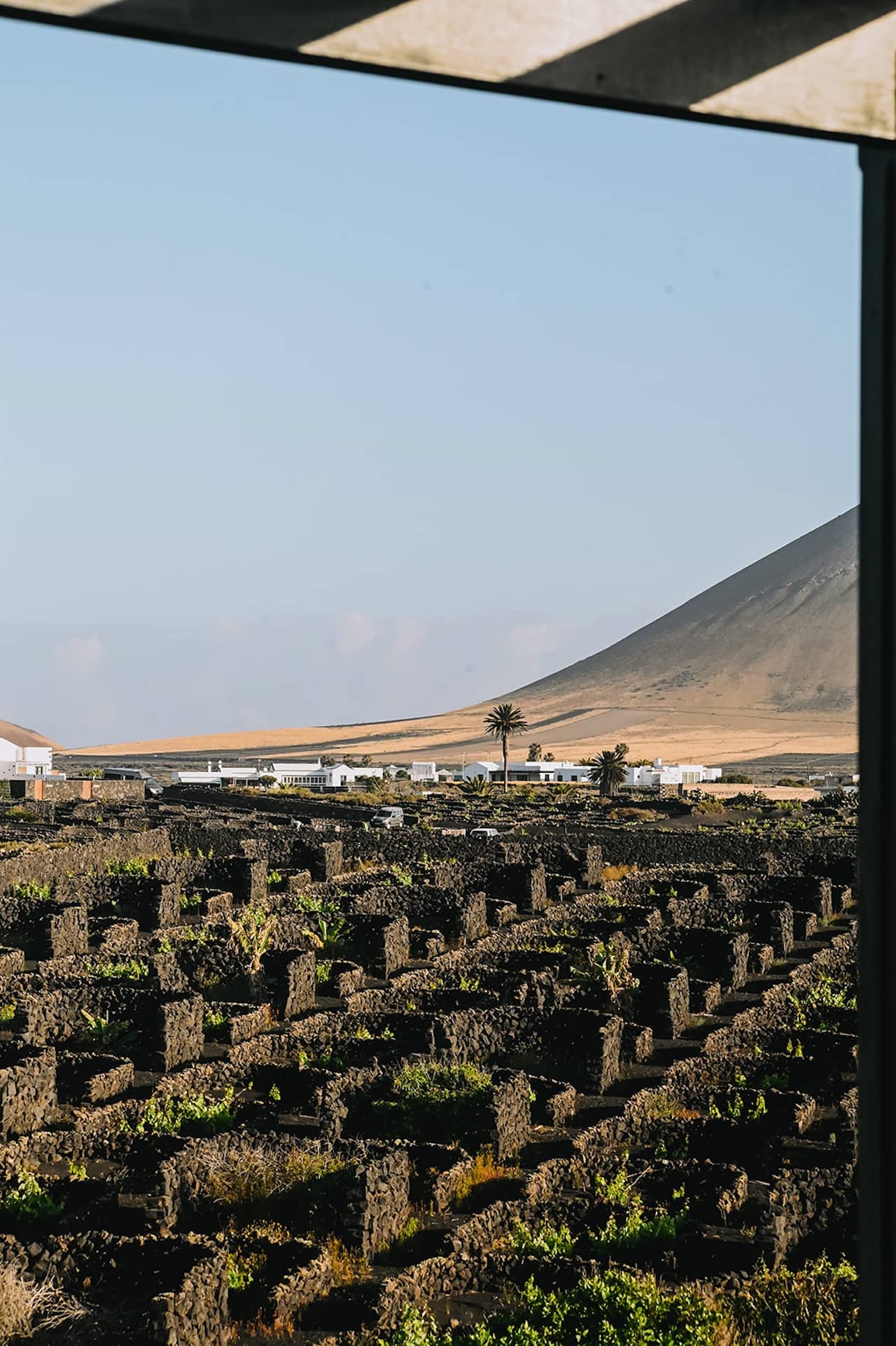 Viñedos de la Geria